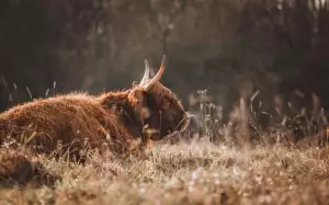 Jak Očistit Lepkavý Plast