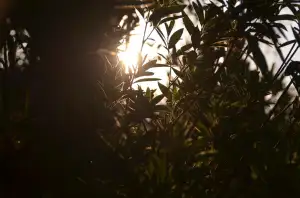 Kdy Začíná Škola Po Novém Roce